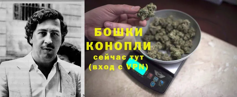 где купить   Балтийск  Бошки марихуана LSD WEED 